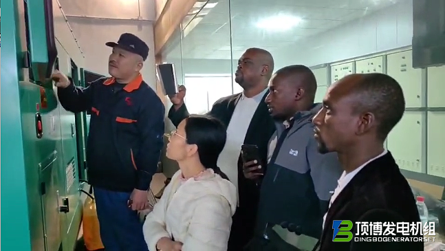 突尼斯客户考察广西顶博发电机组制造